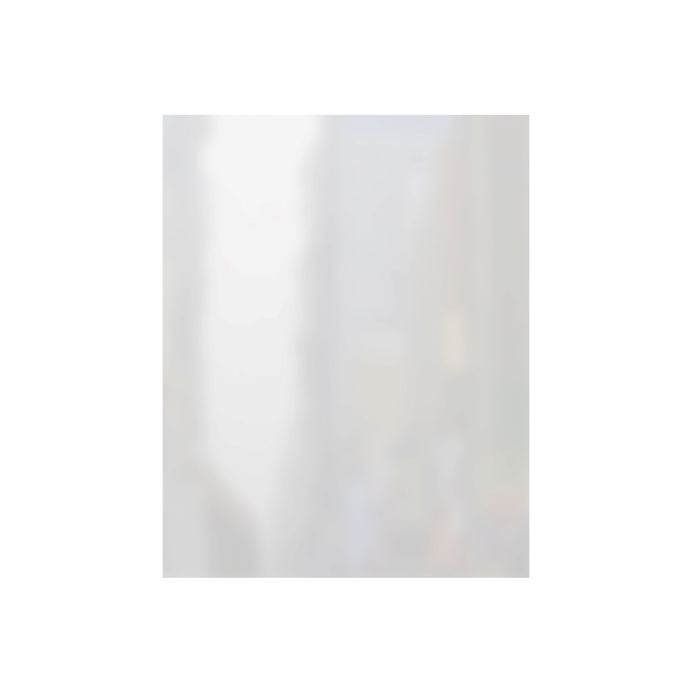 Vinyl Sheet Protector Overlays (Pack of 50)
